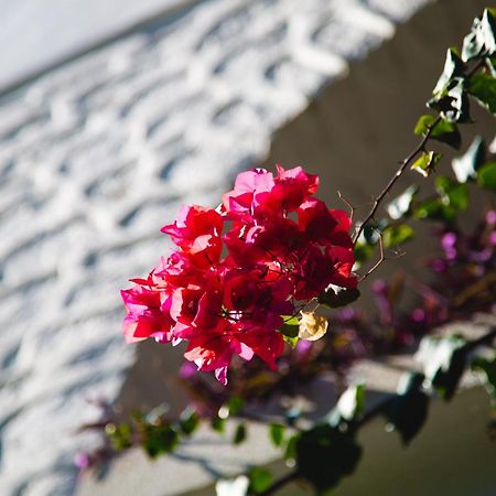 בודרום Hotel Karia Princess מראה חיצוני תמונה